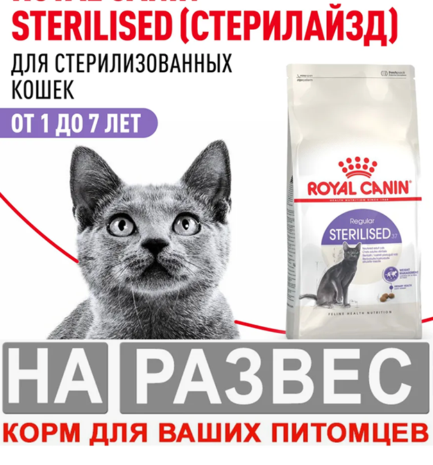 Корм для кошек РАЗВЕСНОЙ Royal Canin для кастрированных кошек и котов