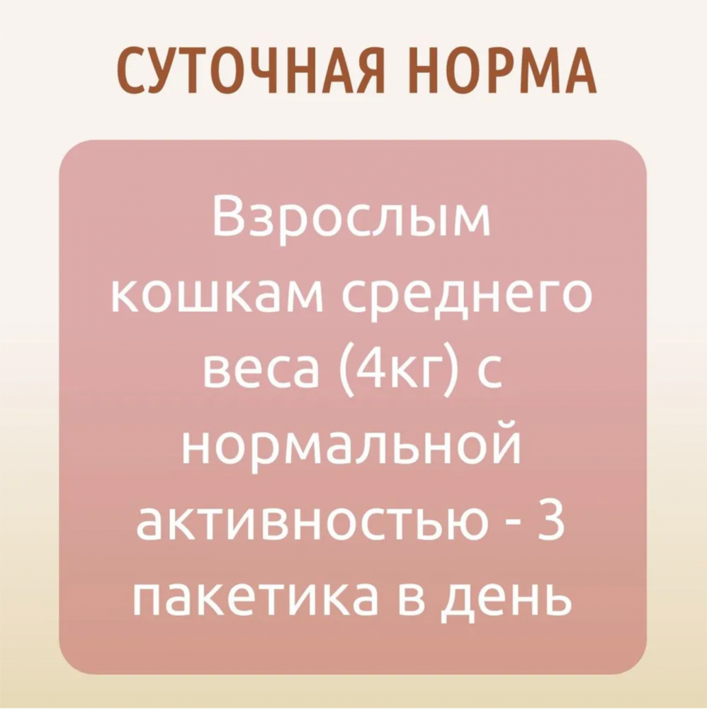Влажный корм Мнямс Кусочки в соусе с говядиной для крупных кошек 85г