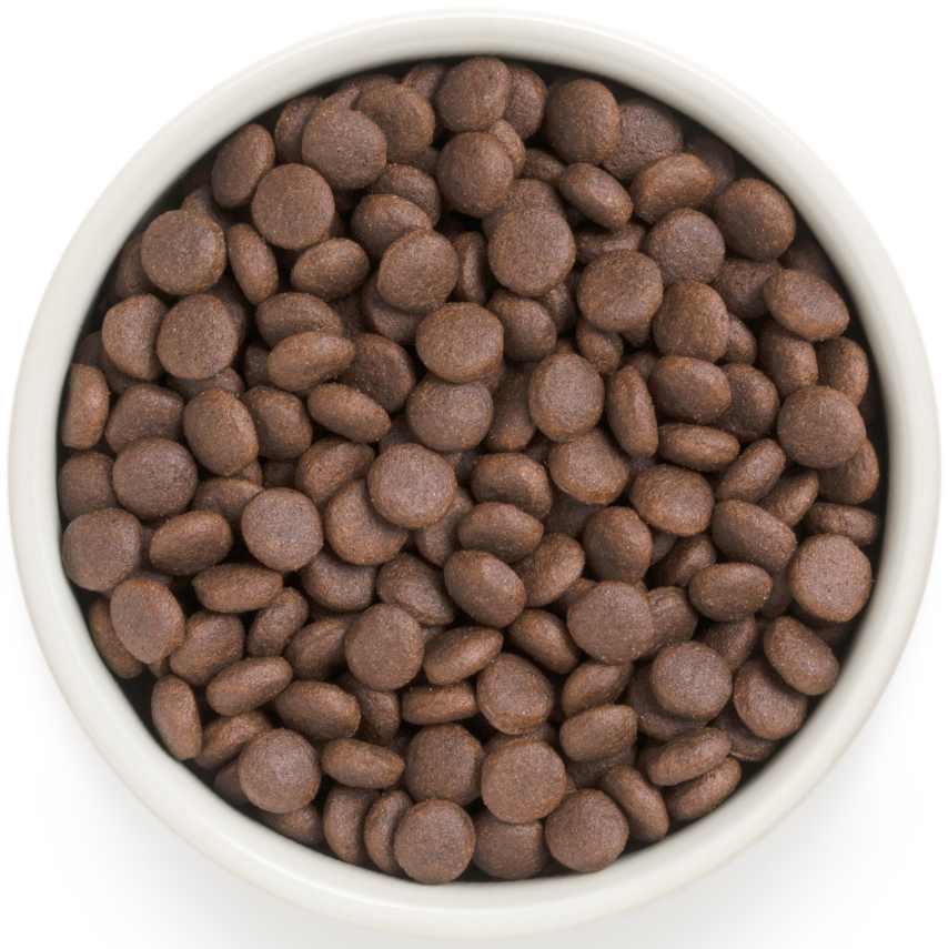 Корм сухой Grandorf индейка с рисом для собак всех пород