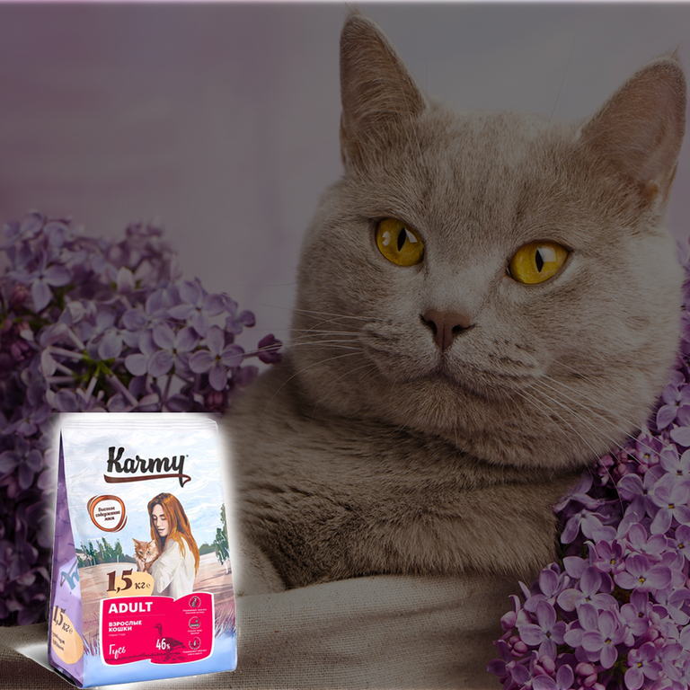 Корм Karmy РАЗВЕСНОЙ ADULT для взрослых кошек старше 1 года - телятина 1 кг