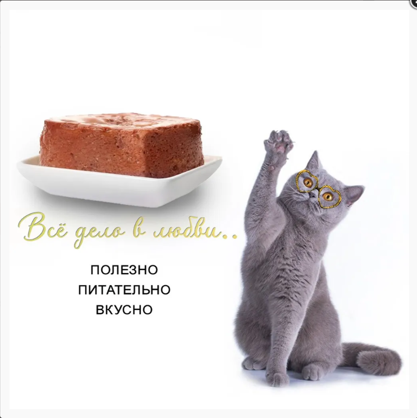 Консерва Бест Диннер Cat Super Premium Индейка для стерилизованных кошек 100 г: ПАШТЕТ