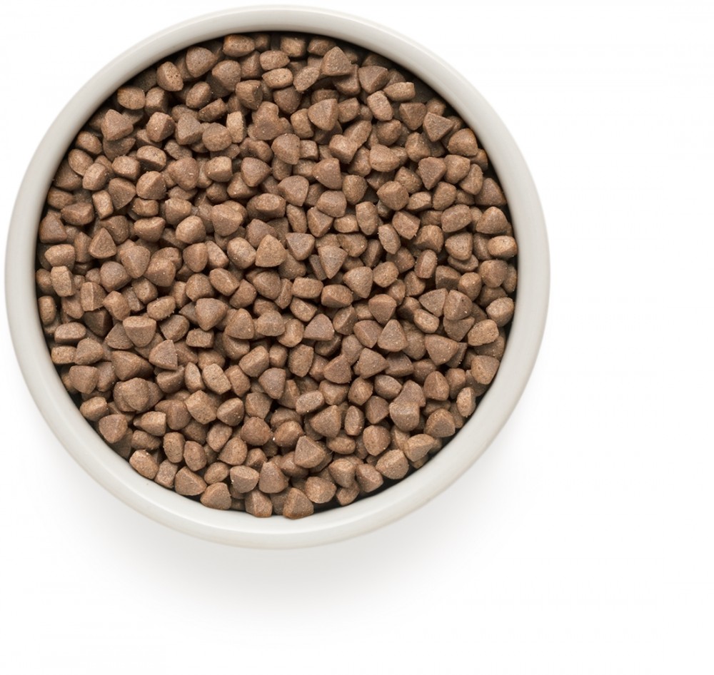 Корм сухой Grandorf Indoor White Fish & Turkey для кошек с белой рыбой и индейкой