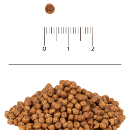 Корм сухой для котят Blitz kitten беременных и кормящих кошек с индейкой