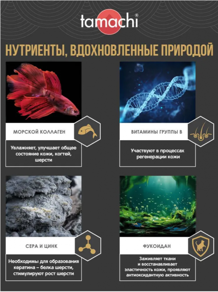GIMCAT Витамины для кошек для поддержания иммунитета &quot;Мультивитамин табс&quot; 40 г