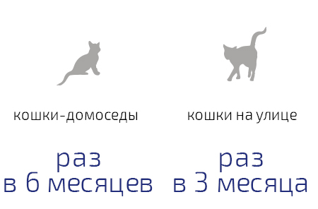 Препарат противопаразитный для котят и кошек Астрафарм Празител суспензия 15мл