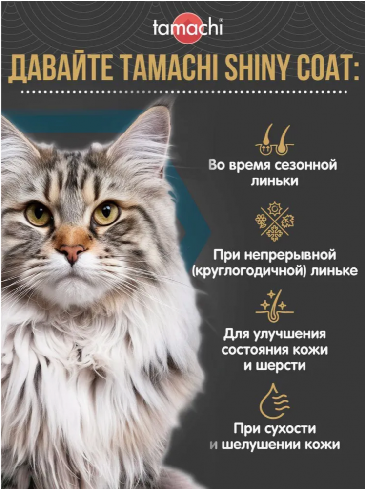 GIMCAT Витамины для кошек для поддержания иммунитета &quot;Мультивитамин табс&quot; 40 г