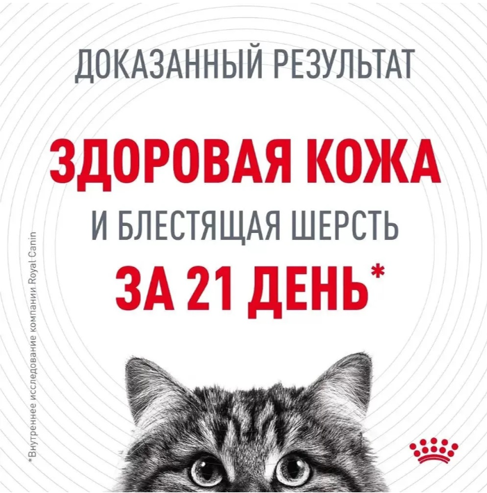 Влажный корм для кошек Royal Canin Intense Beauty кусочки в соус &quot;Идеальная кожа и шерсть&quot; 85 г