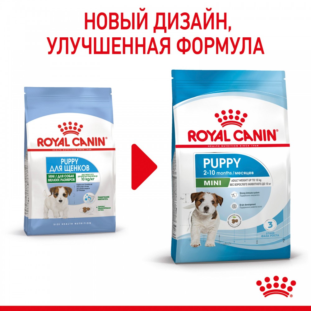 Корм Royal Canin Mini Junior для щенков малых пород