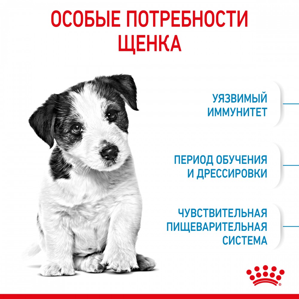 Корм Royal Canin Mini Junior для щенков малых пород