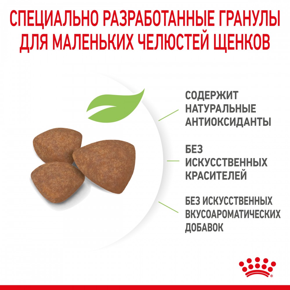 Корм Royal Canin Mini Junior для щенков малых пород