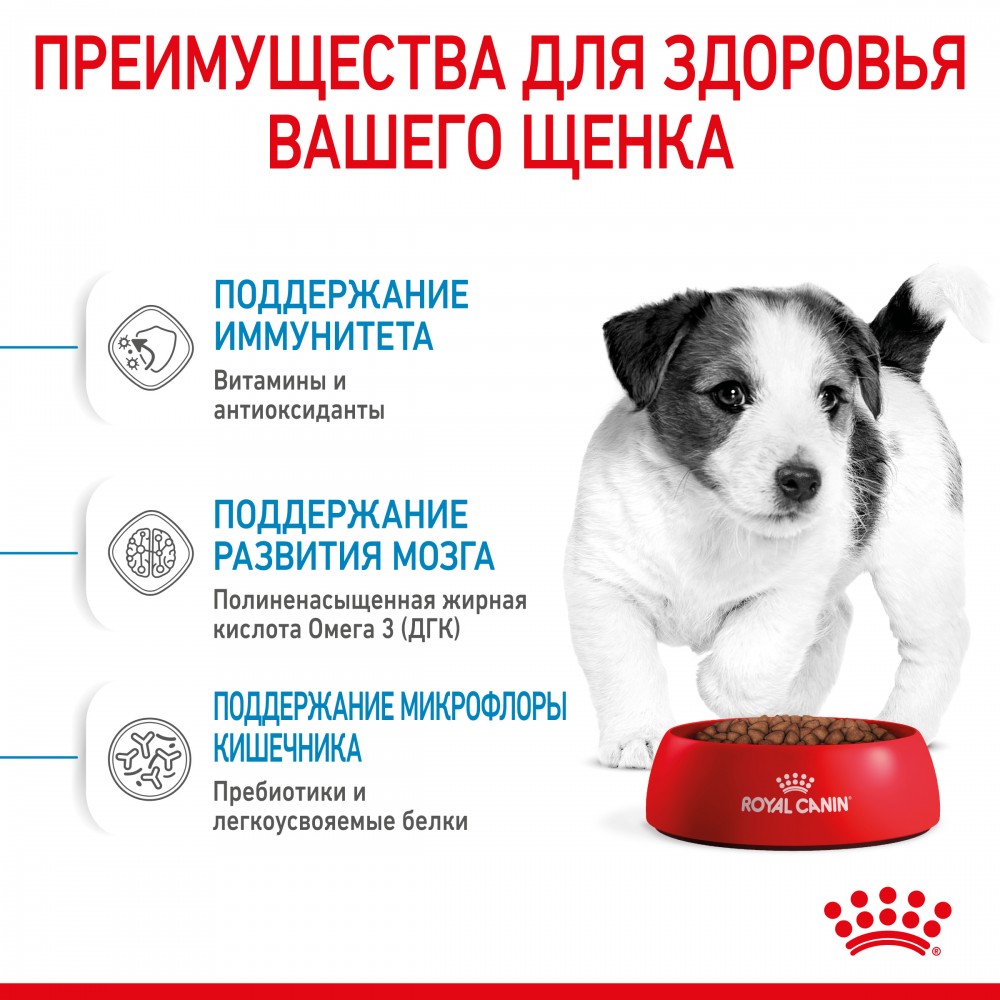 Корм Royal Canin Mini Junior для щенков малых пород